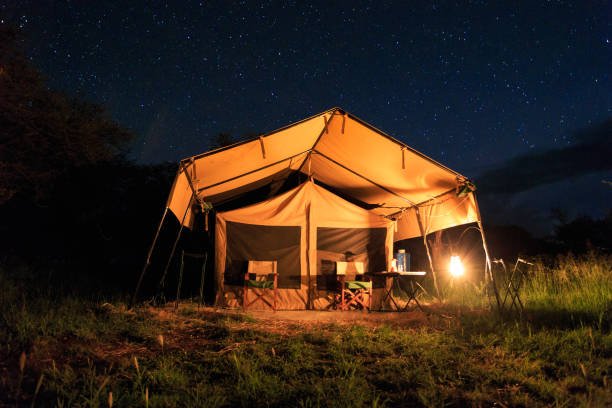 Eco Tents & Lodge Creators